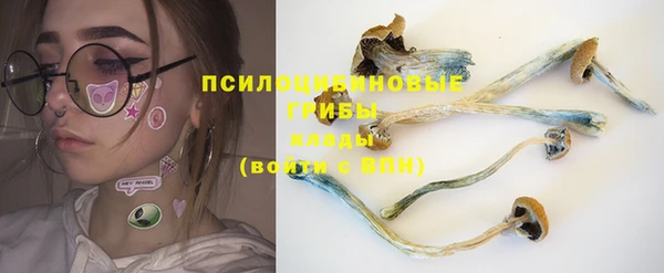 дмт Алзамай