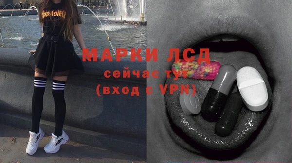 дмт Алзамай