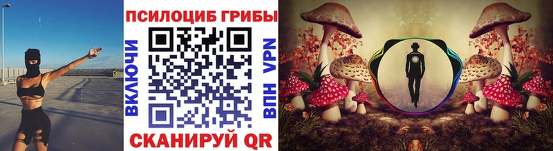 купить наркоту Учалы blacksprut ССЫЛКА Галлюциногенные грибы Cubensis